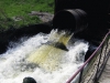 Рыбинская прокуратура проверила чистоту Волги и водохранилища