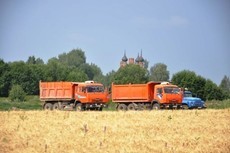 В Ярославской области началась уборка зерновых и зернобобовых культур